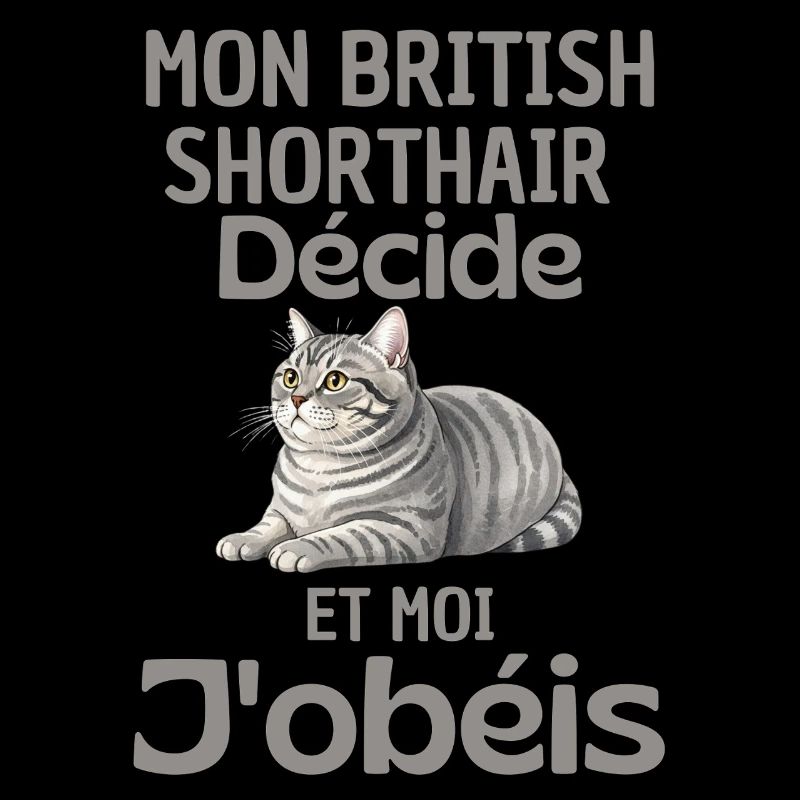 Mon British Shorthair Décide, J’obéis