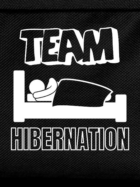 Team Hibernation in Bed