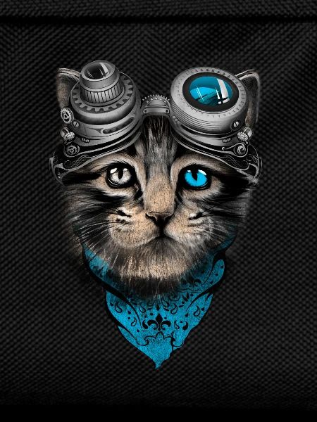 steampunk cat