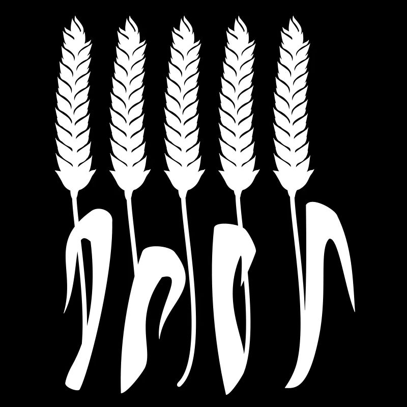 Weizenähren / wheat spike (1c)