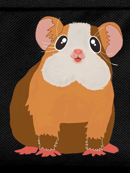 Guinea pig