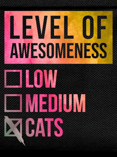 Cat Cat Cat