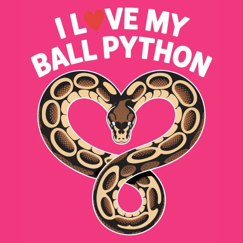J’adore mon python royal ! Roi python