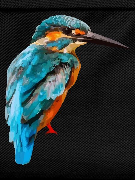 kingfisher