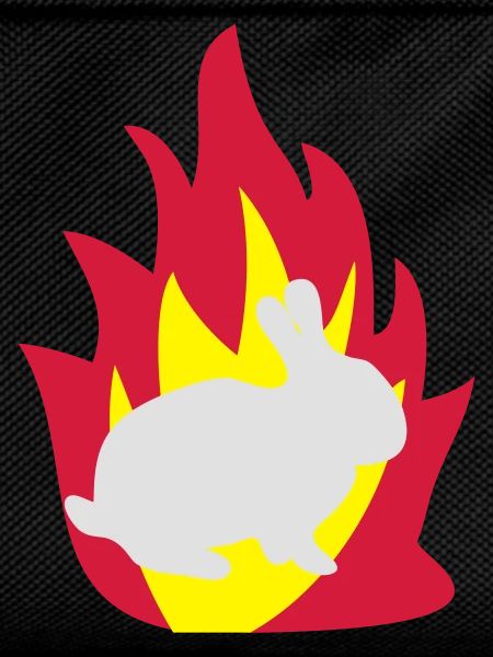 Rabbit in the fire