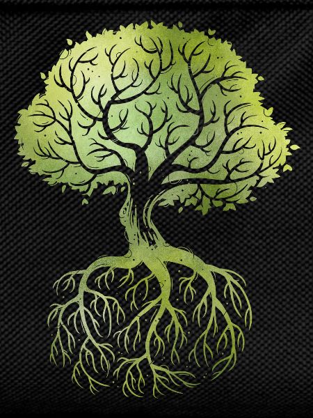Roots