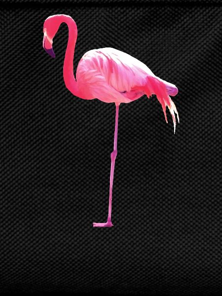 Pink Flamingo