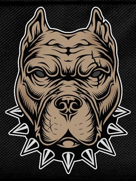 Aggressive dog