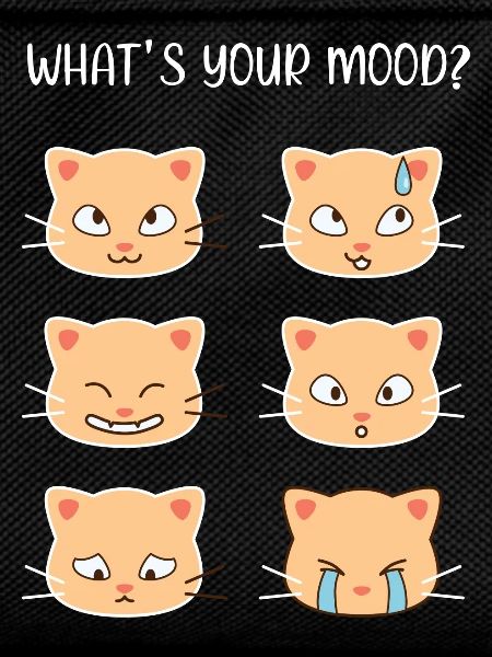 Cats - What's Your Mood?