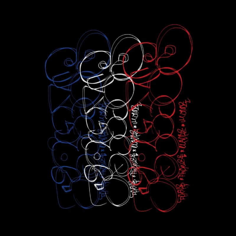 Dynamic sketch of the Paris Bubble Franz Flag