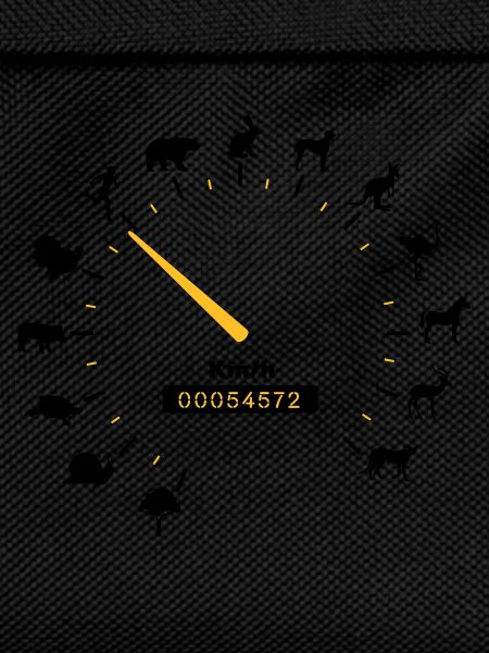 tachometer