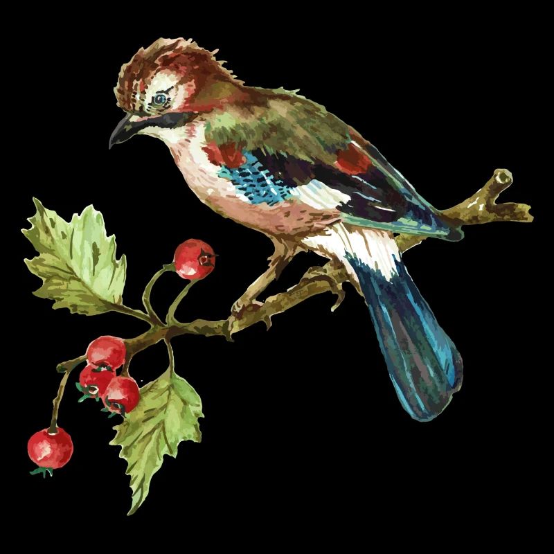 Oiseau coloré