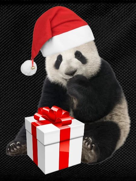 CHRISTMAS-PANDA 2