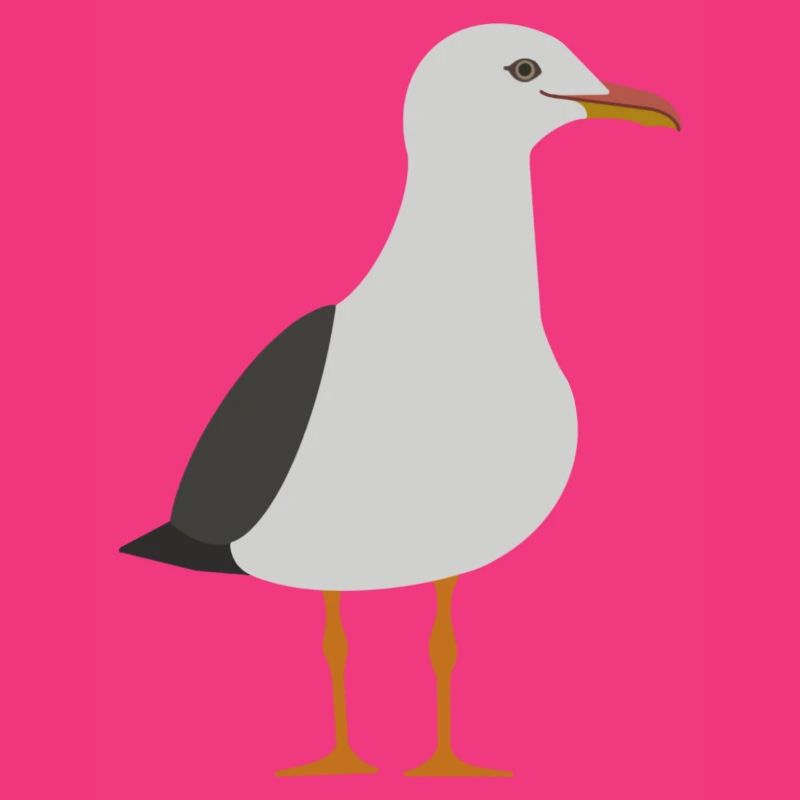 Möwe