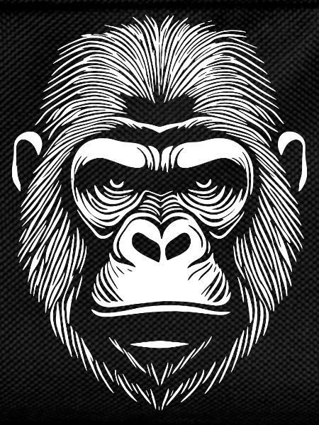 Gorilla Humans Monkey