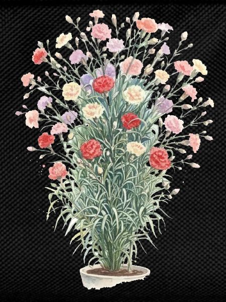 Bouquet d’œillets romantique