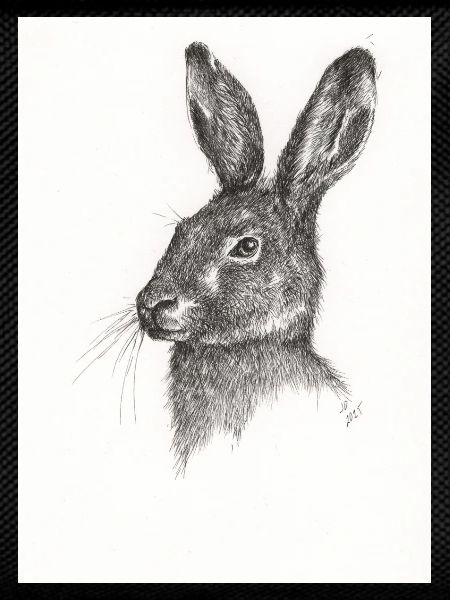 Not just another Rabbit