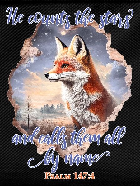 Fox Bible Verse Christian