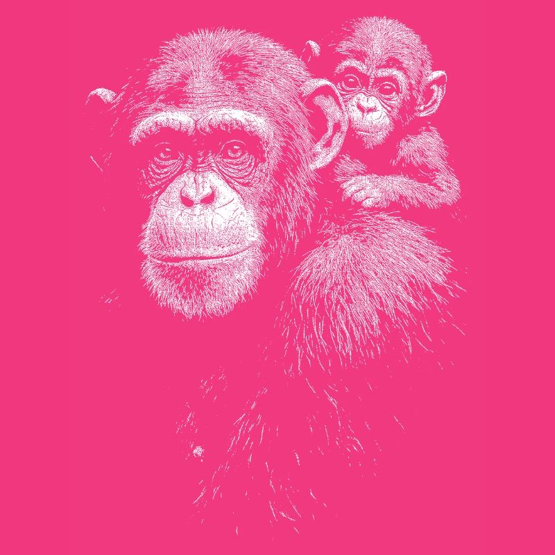 Chimpanzee