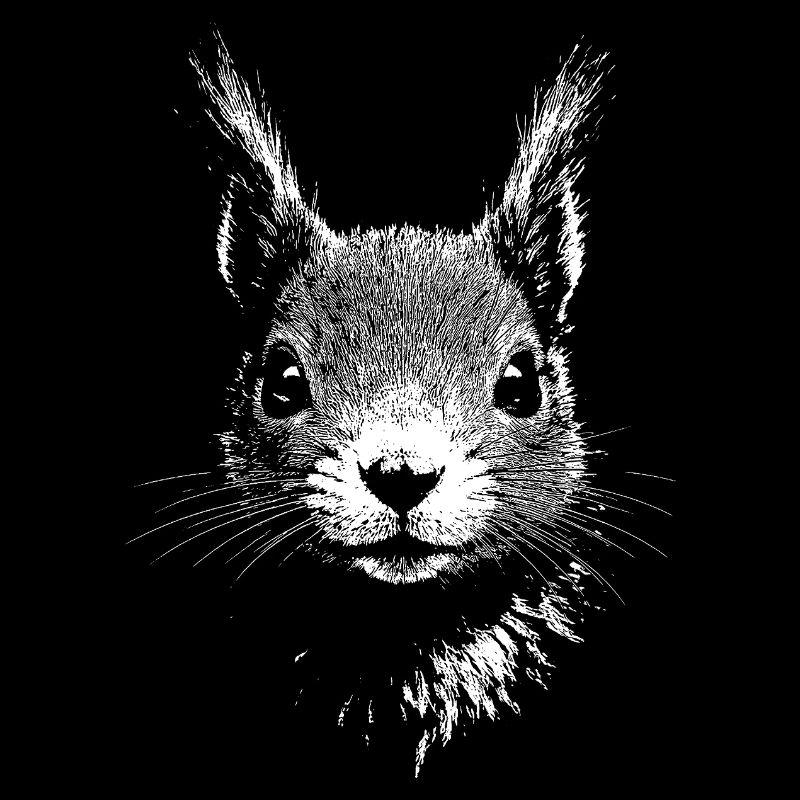 Eichhörnchen