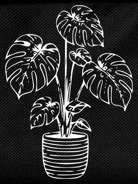 Monstera line art on black
