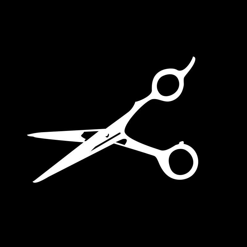 Frisör-Schere / barber scissors (1c)