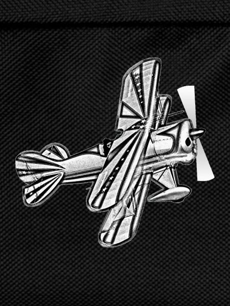Flugzeug