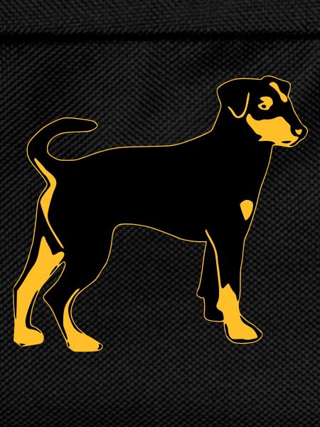 pinscher dog