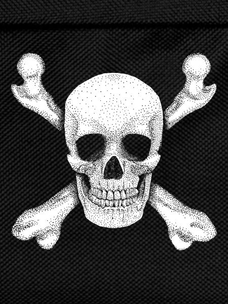Jolly Roger Pirate Skull
