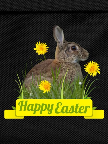 Happy Easter rabbit cony