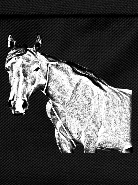horse