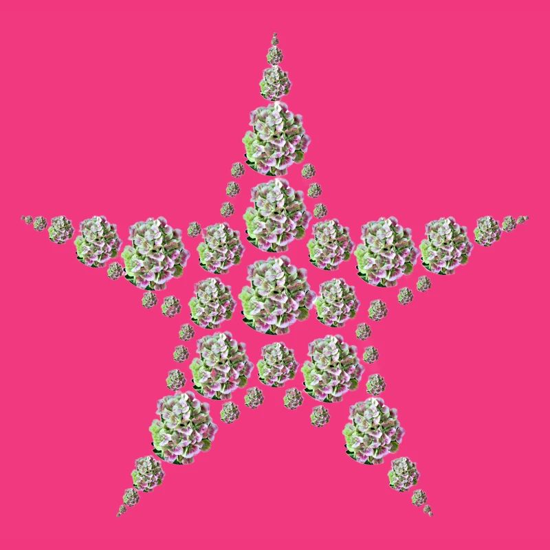 Star made of hydrangeas – elegance meets nature