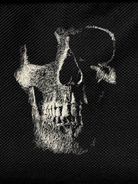 Skull