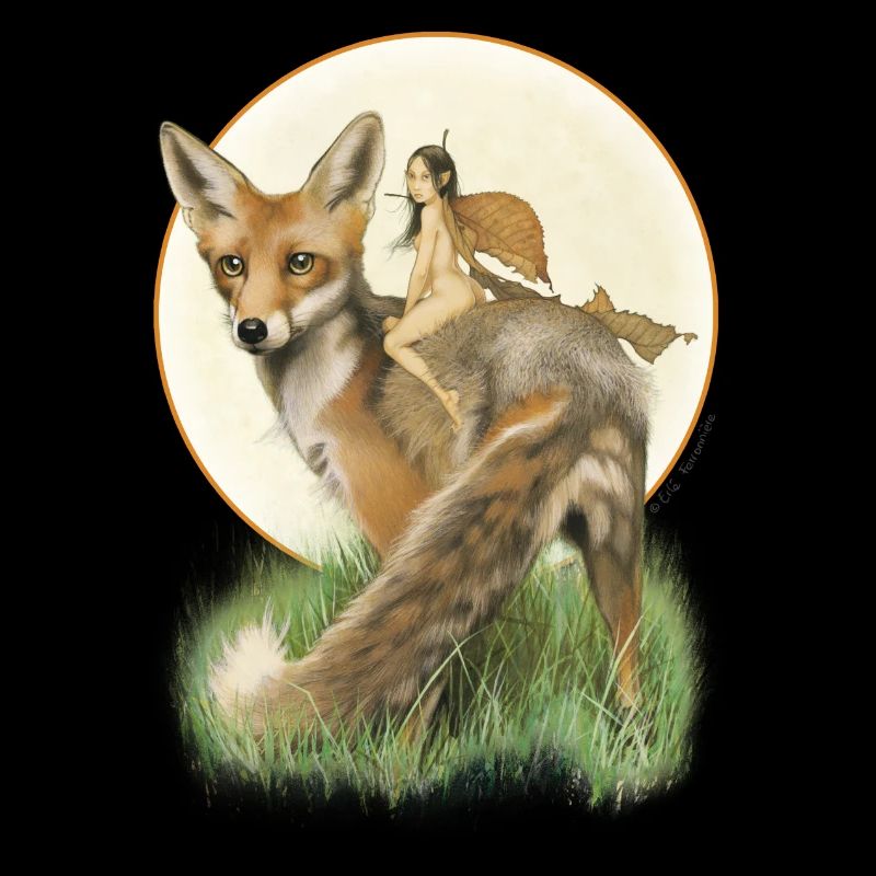 Fuchs und Fee