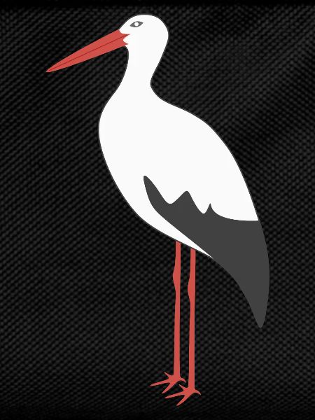 White Stork