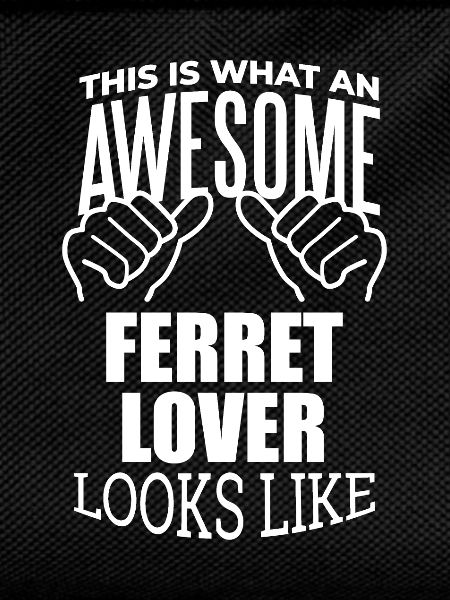 Furet Furet Furet