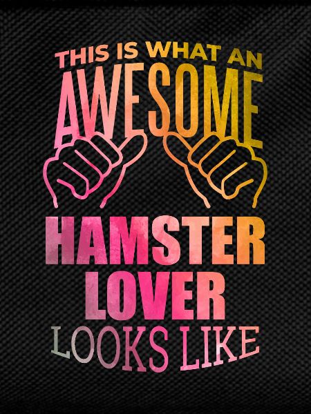 Hamster Hamster Hamster
