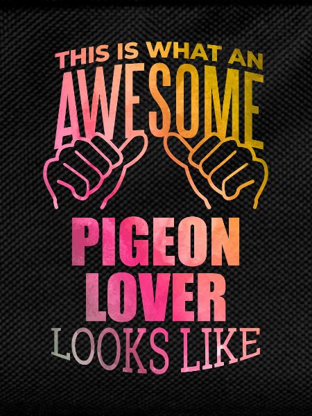 Pigeon Pigeon Pigeon