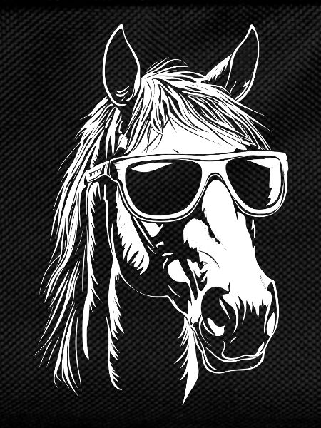 Horse Sunglasses