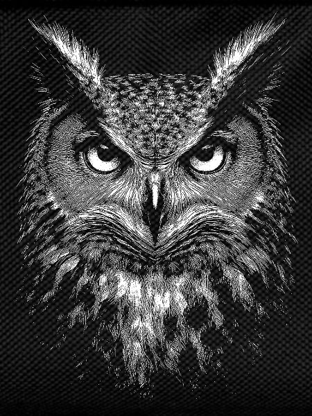 Hibou