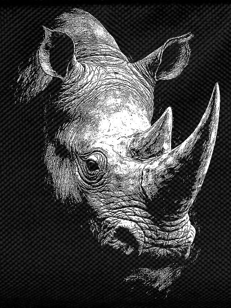 Nashorn