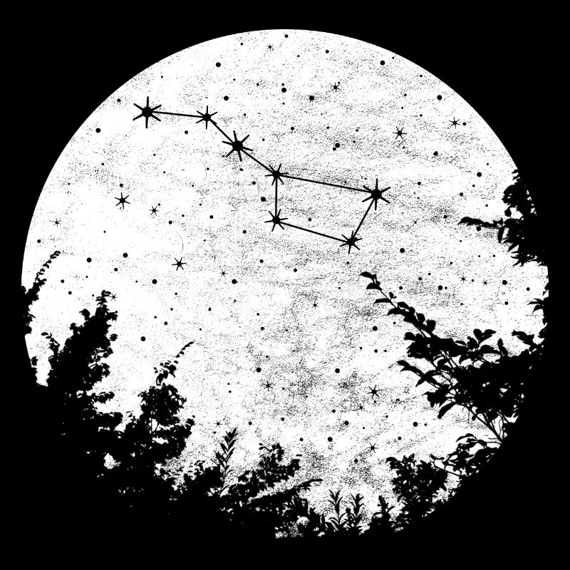 Großer Bär Wagen Sternbild Konstellation
