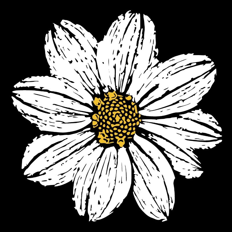 Fleur Fleurs Blanches Idées Cadeaux Noël