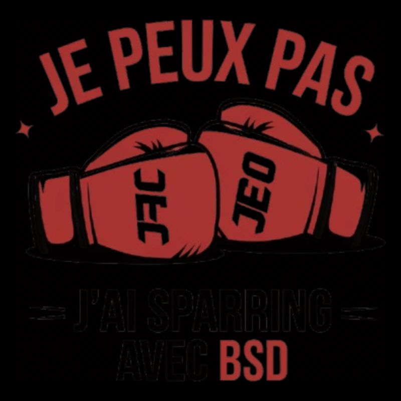 je peux pas j ai sparring avec benoit saint dénis