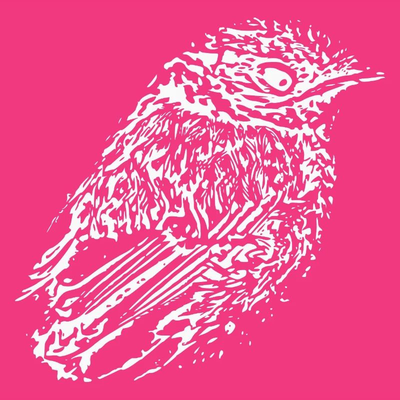 Bird white