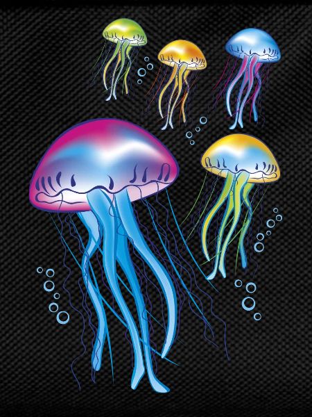 Jellyfish