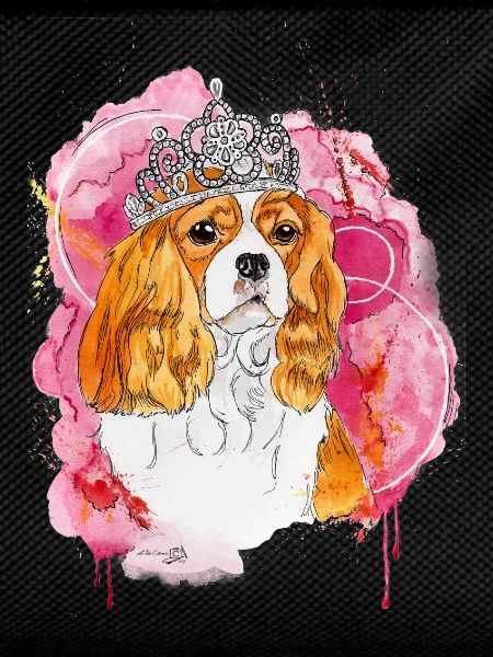 Cavalier KC Spaniel Bella