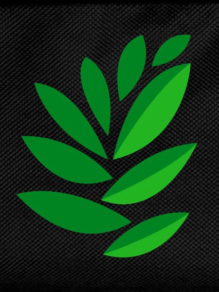 drawing leaves