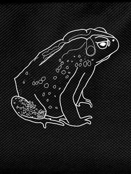 crapaud