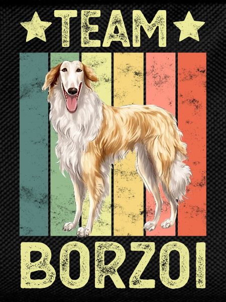 Dog Borzoi